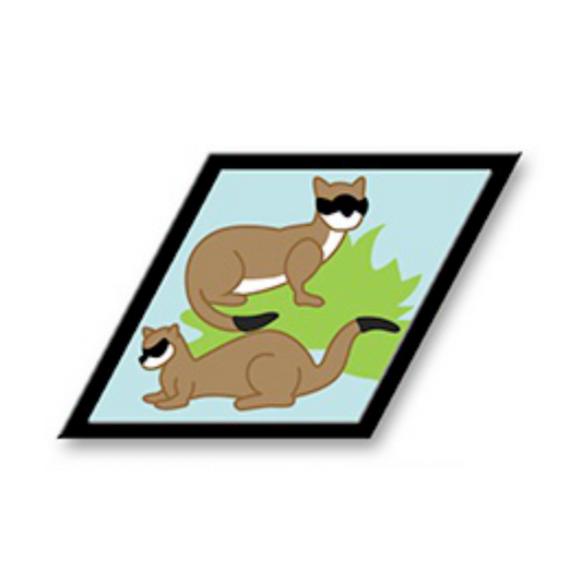 Ferrets