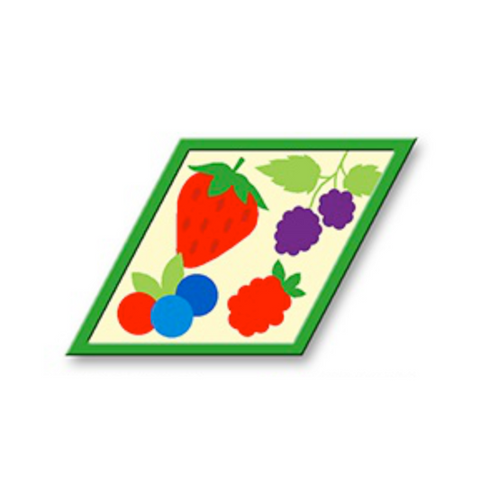 Fruit Bushes