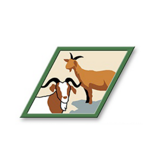Goats