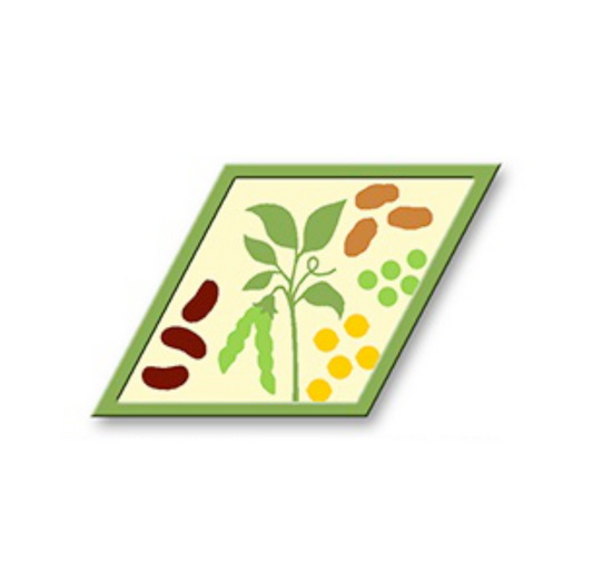 Legumes