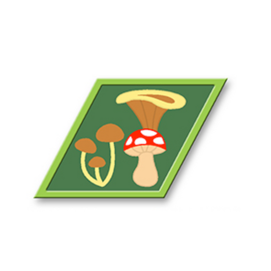 Mushrooms