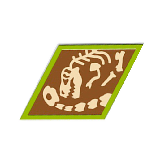 Paleontology