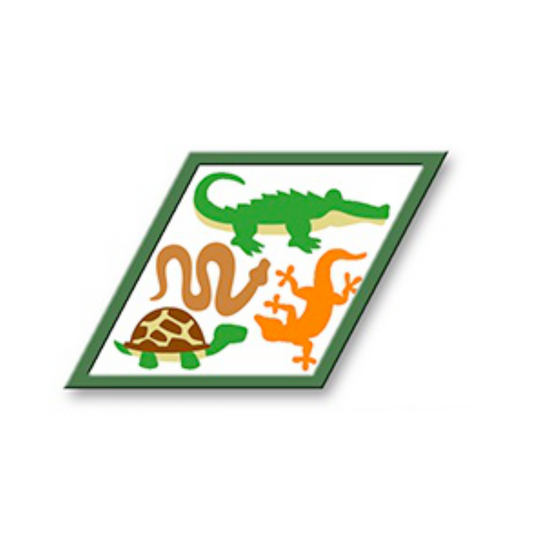 Reptiles