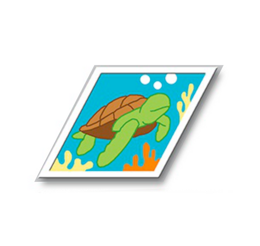 Sea Turtles